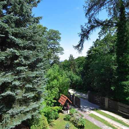 Apartmán Staszica16 Złoty Stok Exteriér fotografie