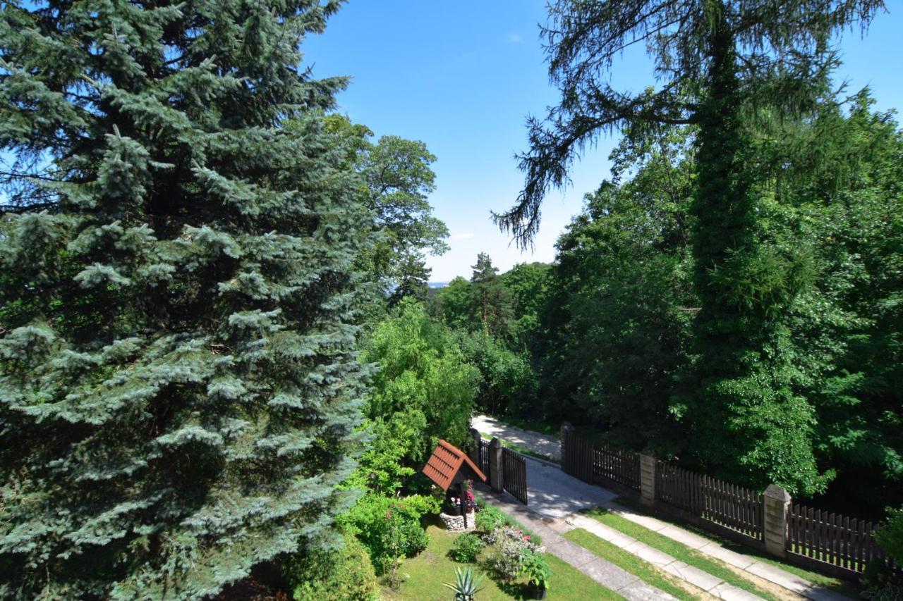 Apartmán Staszica16 Złoty Stok Exteriér fotografie